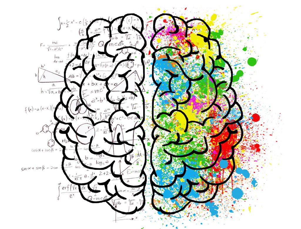 drawing of a brain