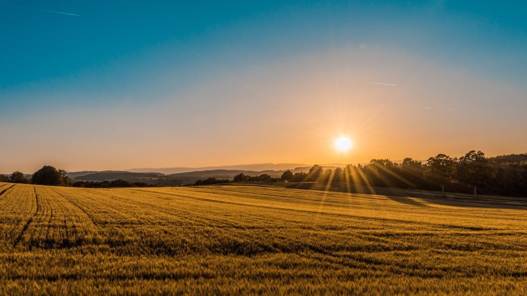picture of sunset over land. 
