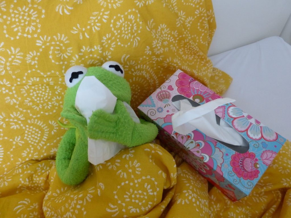 Kermit with a hanky