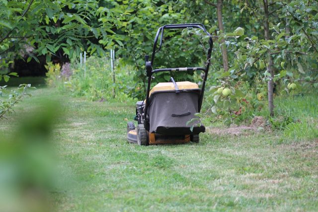 choosing a lawnmower